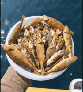 рыбалка в черном море